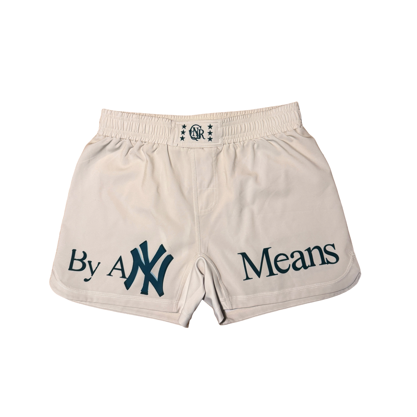 N.Y State of Mind Shorts