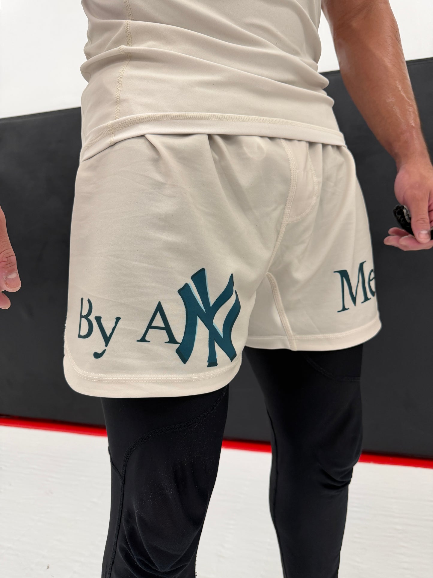 N.Y State of Mind Shorts